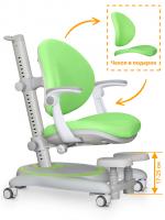 ErgoKids Детское кресло ErgoKids Ortoback Plus Green (арт. Y-508 KZ Plus)