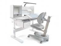 ErgoKids Комплект ErgoKids Florida Multicolor + ErgoKids Ortoback Duo Grey (арт. EVO-52 G + Y-510 G)