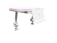 ErgoKids Полка для книг  EVO-S513 PN